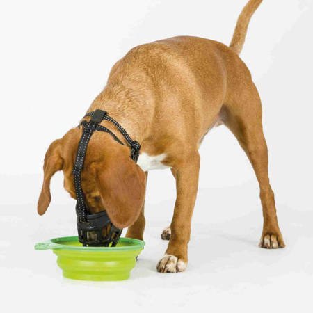 Kaganiec fizjologiczny dla psa M-L pies może swobodnie oddychać, pić i jeść z ręki