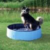 Pokrywa do małego basenu dla psa Osłona na basen dla psów 160cm